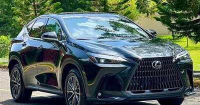 Lexus NX 2026