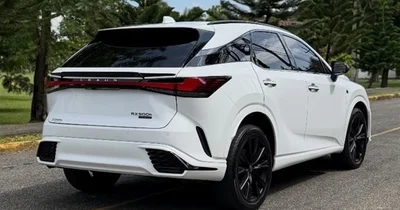 Lexus RX 2024
