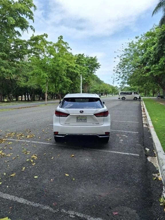 Lexus RX 2020