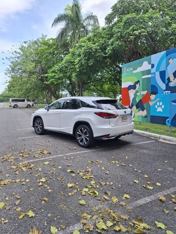 Lexus RX 2020